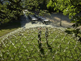 Image of bamboo dome